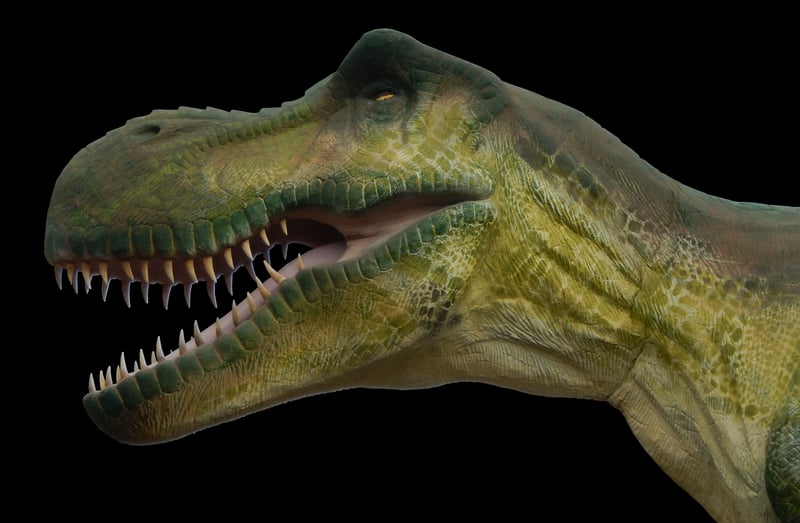 Tyrannosaurus Rex Fossil