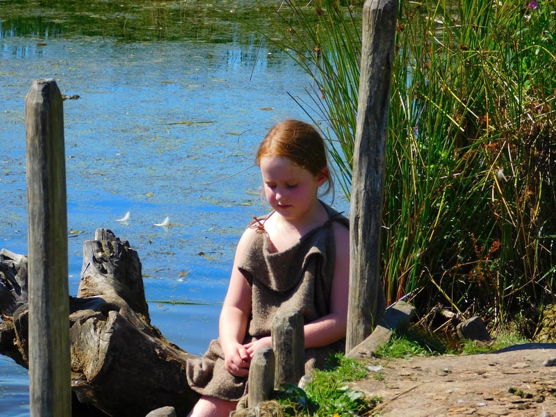 Viking Settlement